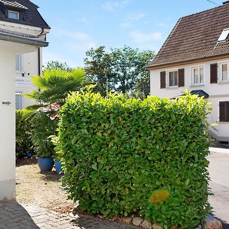 Bluehome Ferienwohnung Bad Bellingen Buitenkant foto