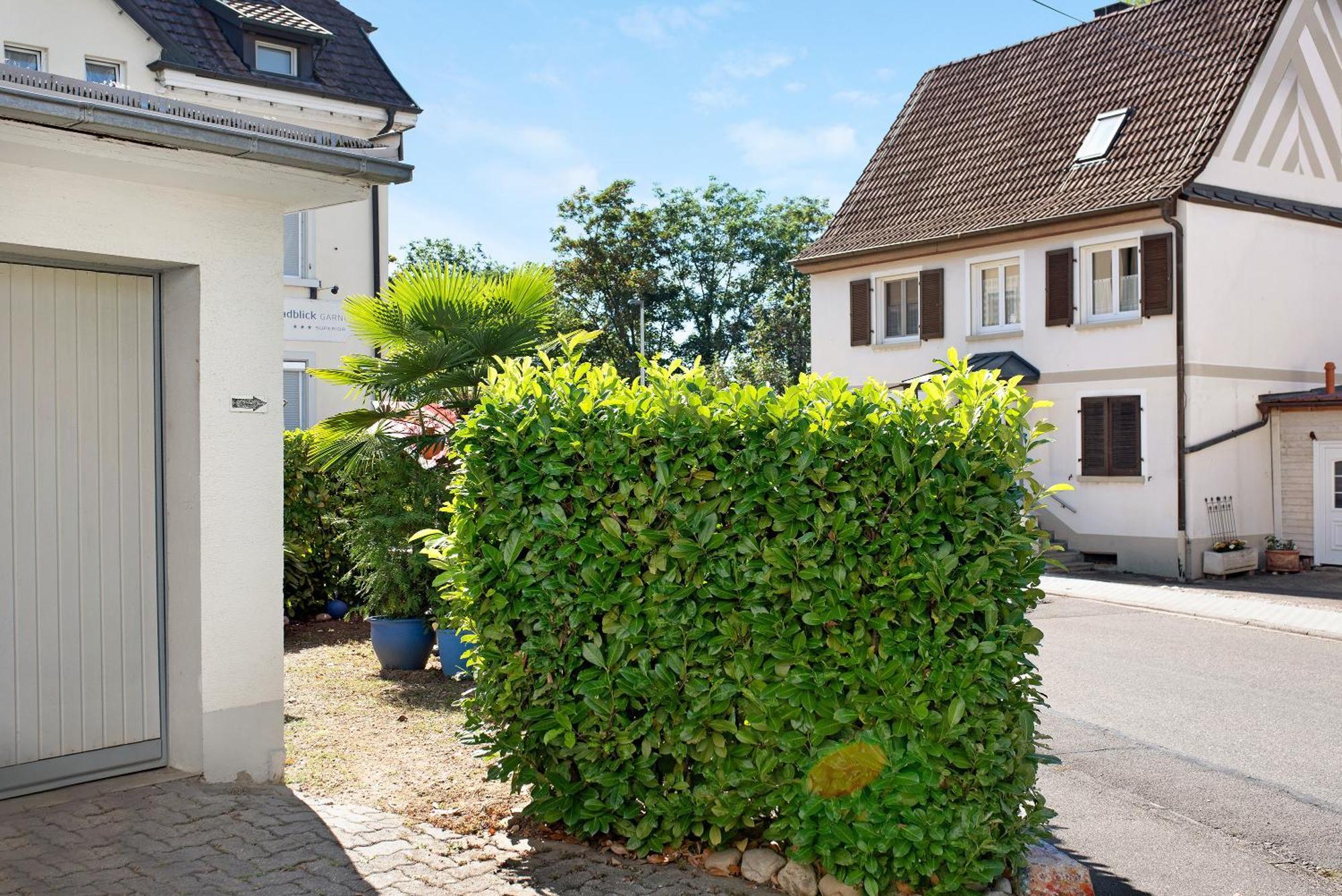 Bluehome Ferienwohnung Bad Bellingen Buitenkant foto